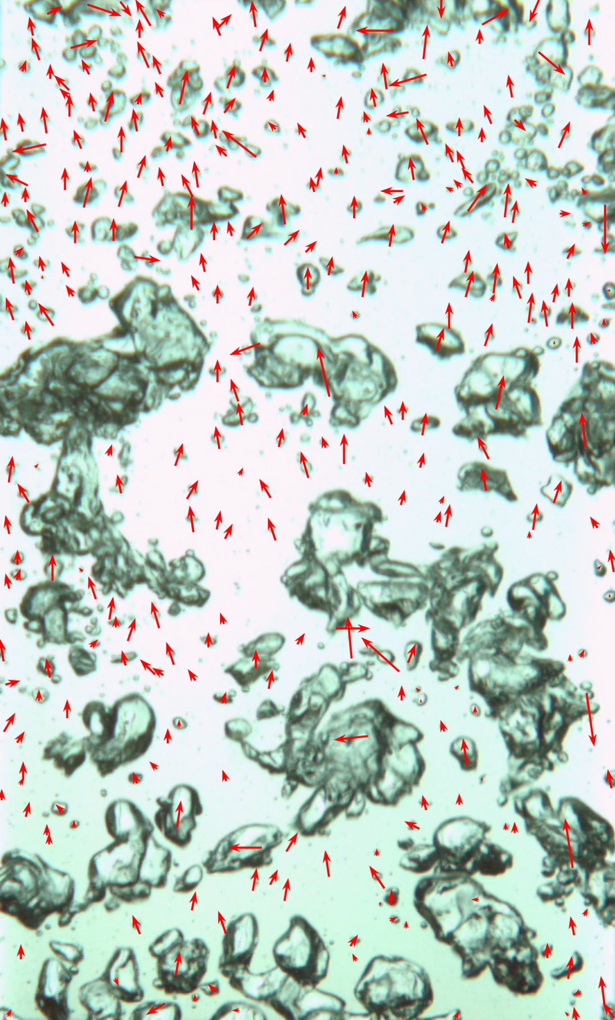 Bubble displacement directions shown with red vectors