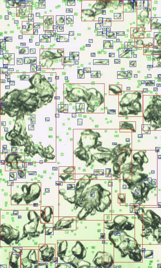 Looping three-frame bubble detection sequence